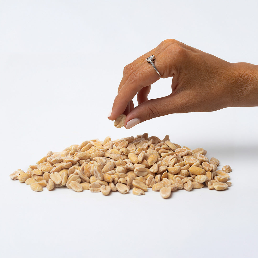 Maní Tostado Sin Sal 700g