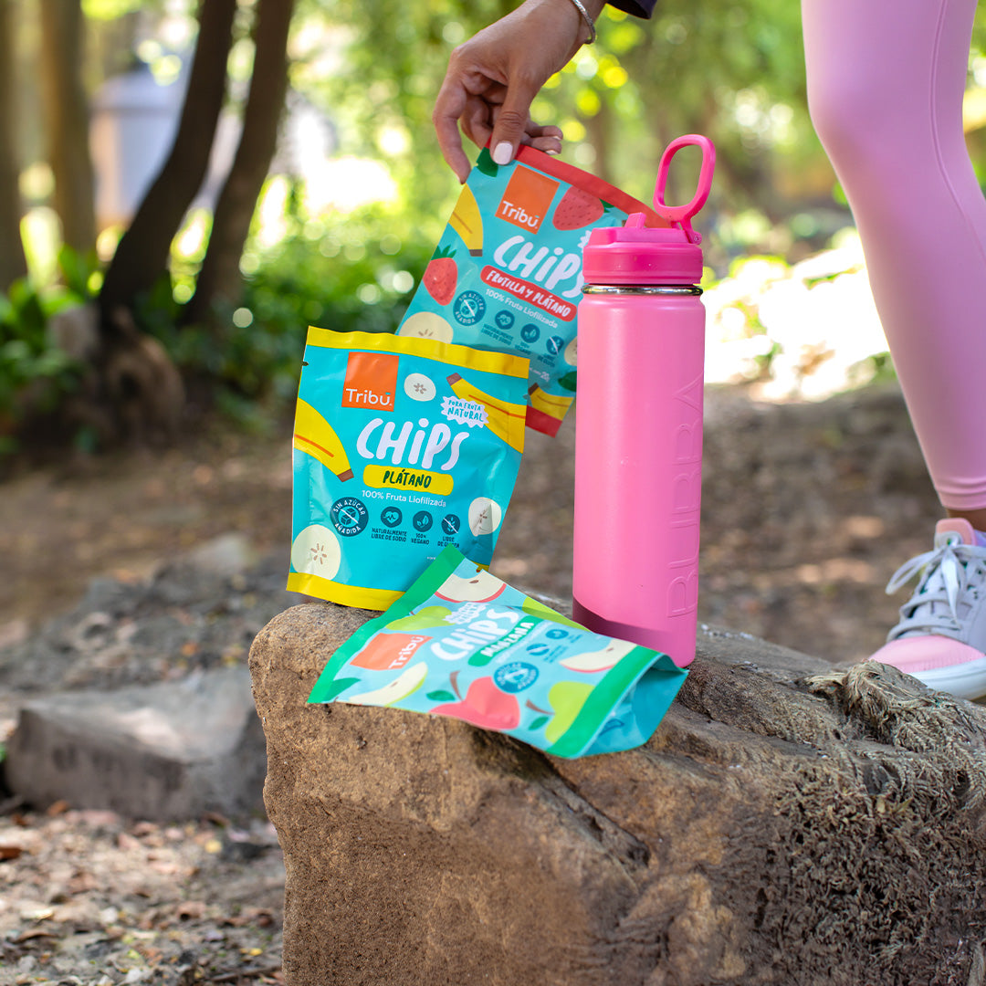 Chips liofilizadas Manzana, Arándano, Frutilla 20g (4 Unidades)