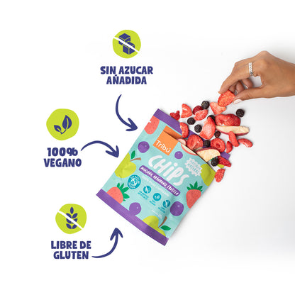 Chips liofilizadas Manzana, Arándano, Frutilla 20g (4 Unidades)