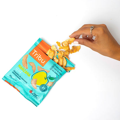Manzana Slice Deshidratada 20g (10 Unidades)